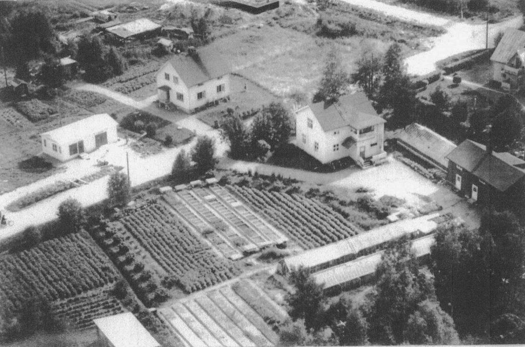 Dec 2025 Haga handelsträdgård