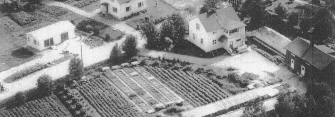 Dec 2025 Haga handelsträdgård